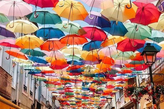 Discover the World's Most Vibrant Cultural Traditions and Festivals