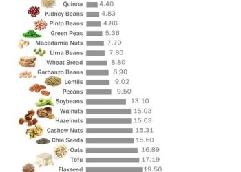 The Best Vegetarian and Vegan Recipes to Satisfy Your Palate